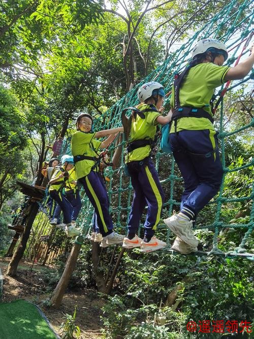 问鼎娱乐下载 青少年户外运动推广，夏令营与探险活动组织锻炼意志，培养团队合作精神。